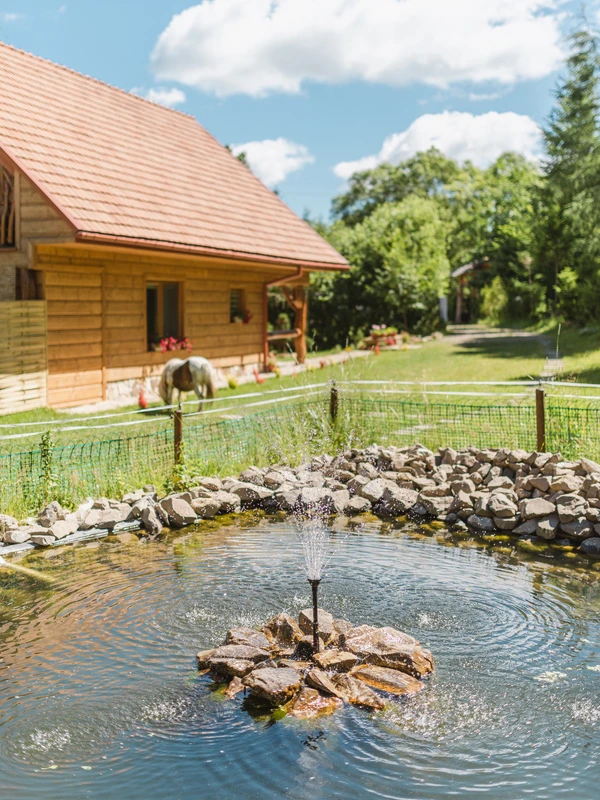Domek z oczkiem wodnym